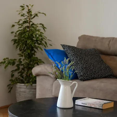 David Apartment *
